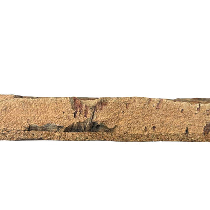 Arizona Cork Wall Tiles - Carton of 2 Tiles (3.88 sqft)