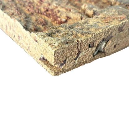 Arizona Cork Wall Tiles - Carton of 2 Tiles (3.88 sqft)