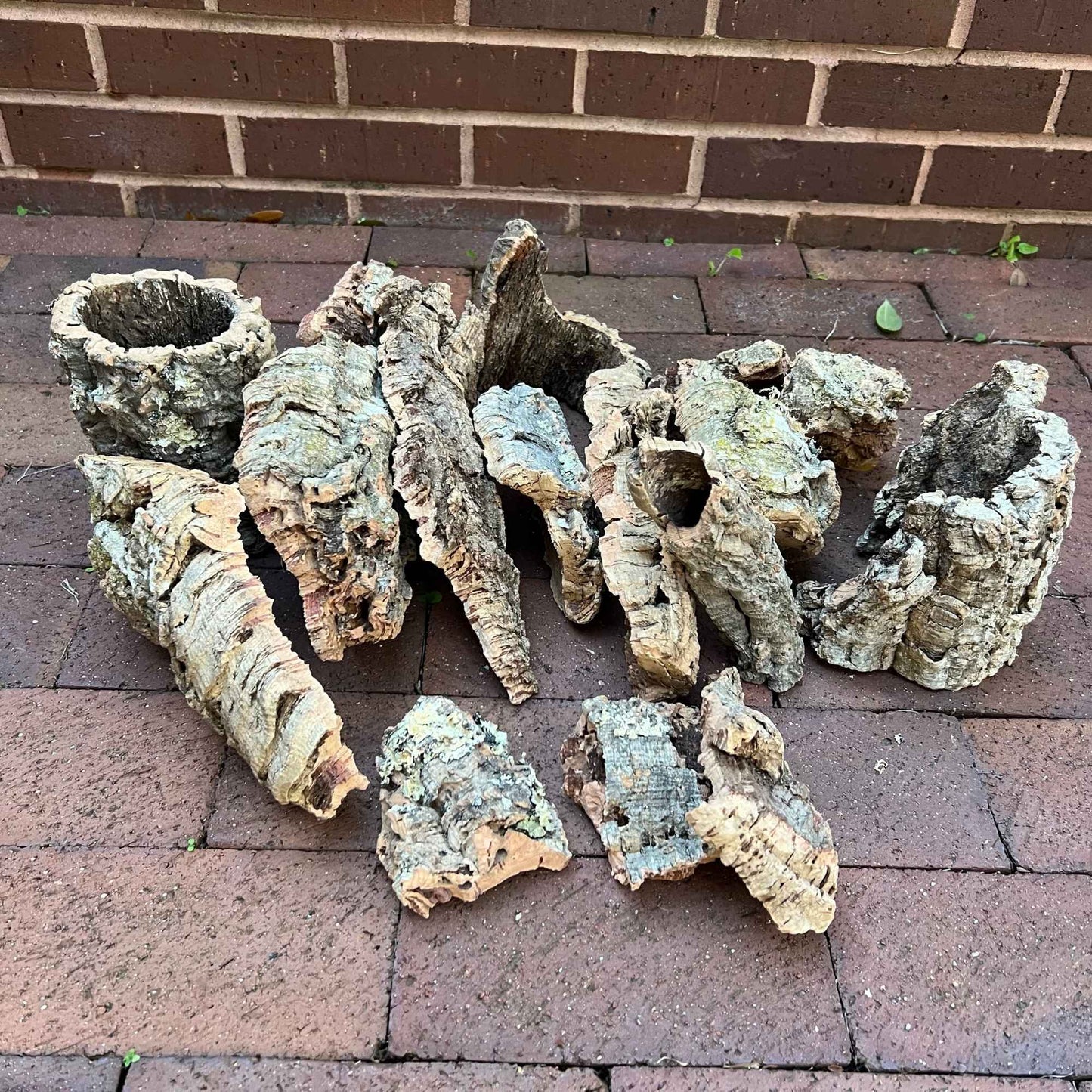 Many pieces of cork bark in various styles of flat, part-tubed and tubed 