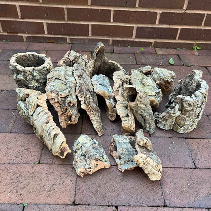 Many pieces of cork bark in various styles of flat, part-tubed and tubed 
