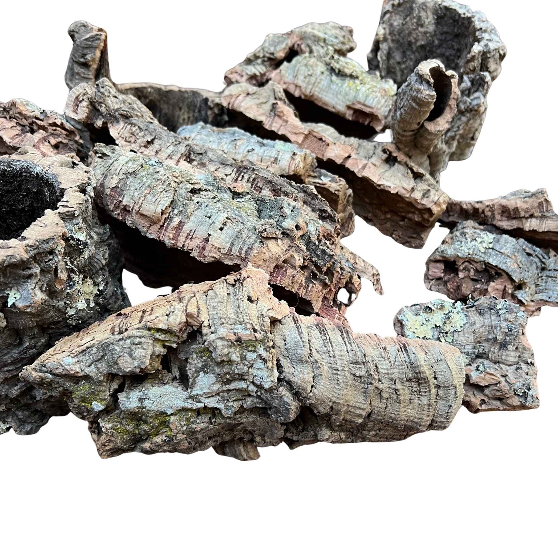Cork Bark