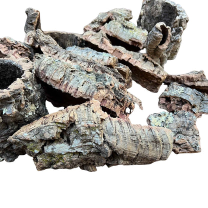 Close-up of cork bark showing texture, size and shape