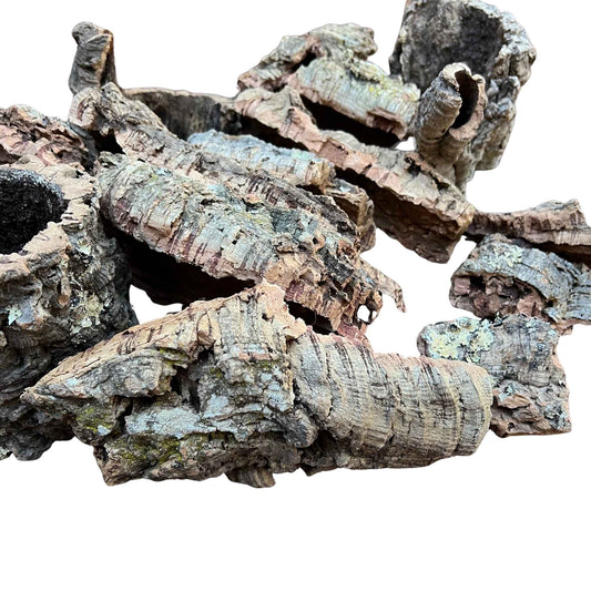 Close-up of cork bark showing texture, size and shape