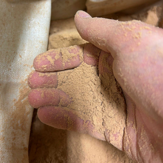 Cork dust or cork powder in a person's hand to show the grain size.