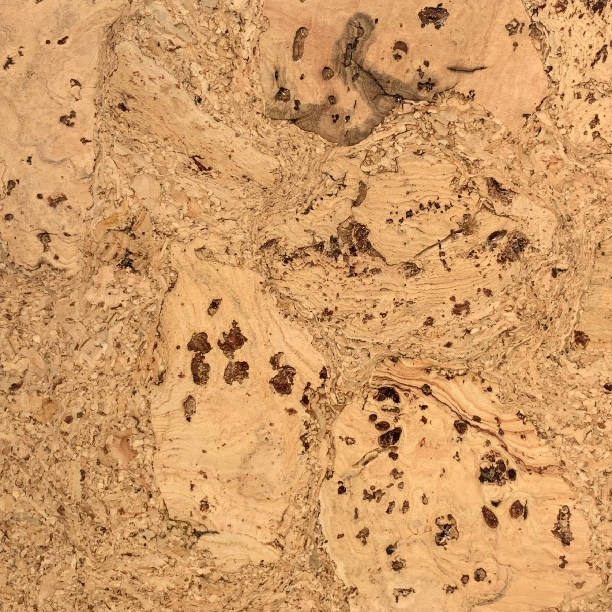 Sierra Glue Down Cork Flooring - Natural Light Cork Tiles (64 sq ft ...