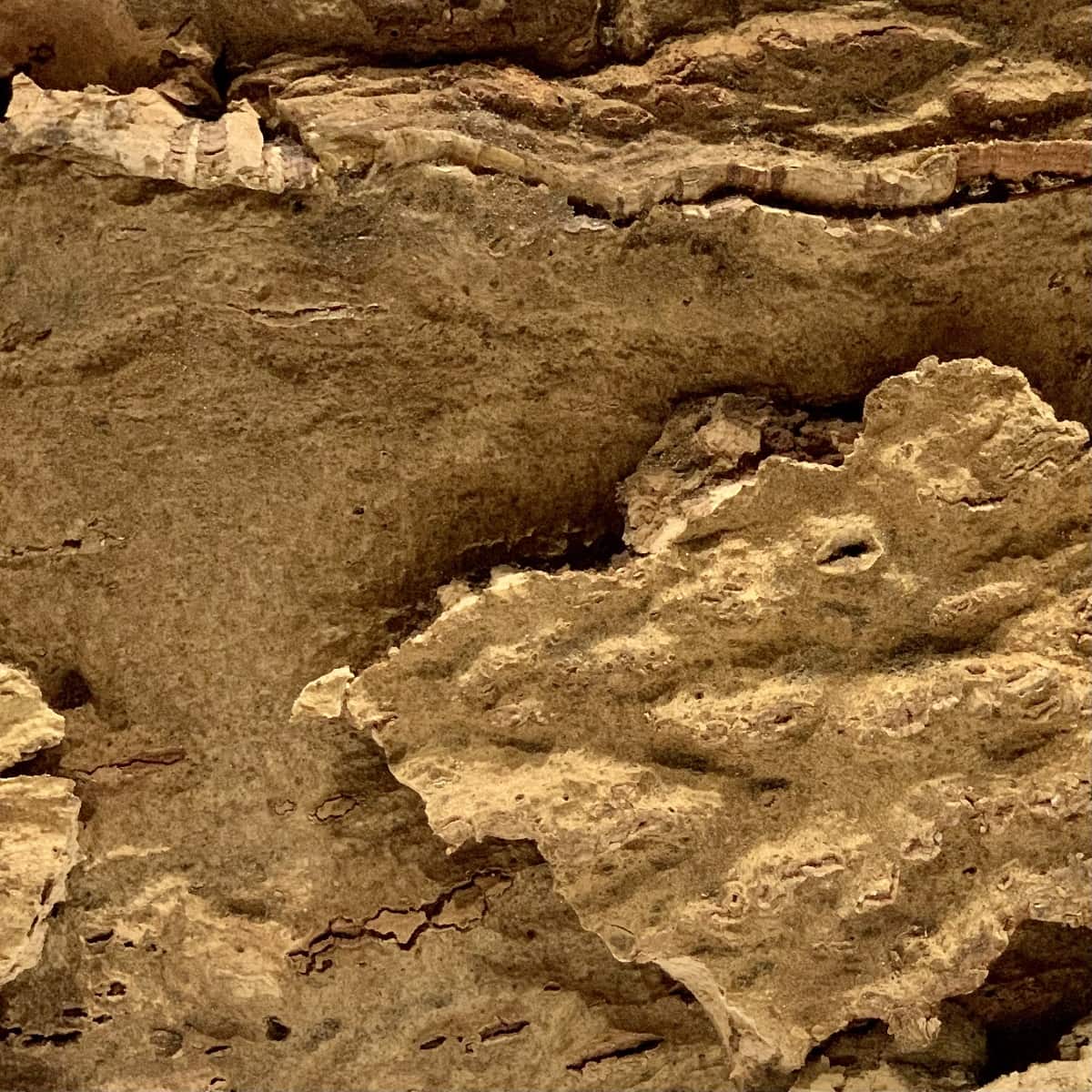 Close up view of the Arizona Cork wall tile