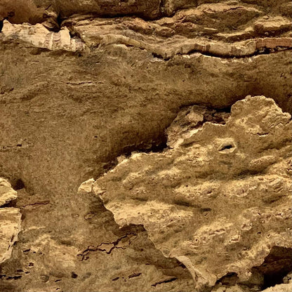 Close up view of the Arizona Cork wall tile