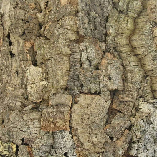 Colorado Cork Wall Tiles - Carton of 2 Tiles (1.94 sqft)